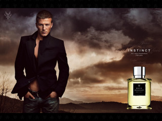 David Beckham фото №91296